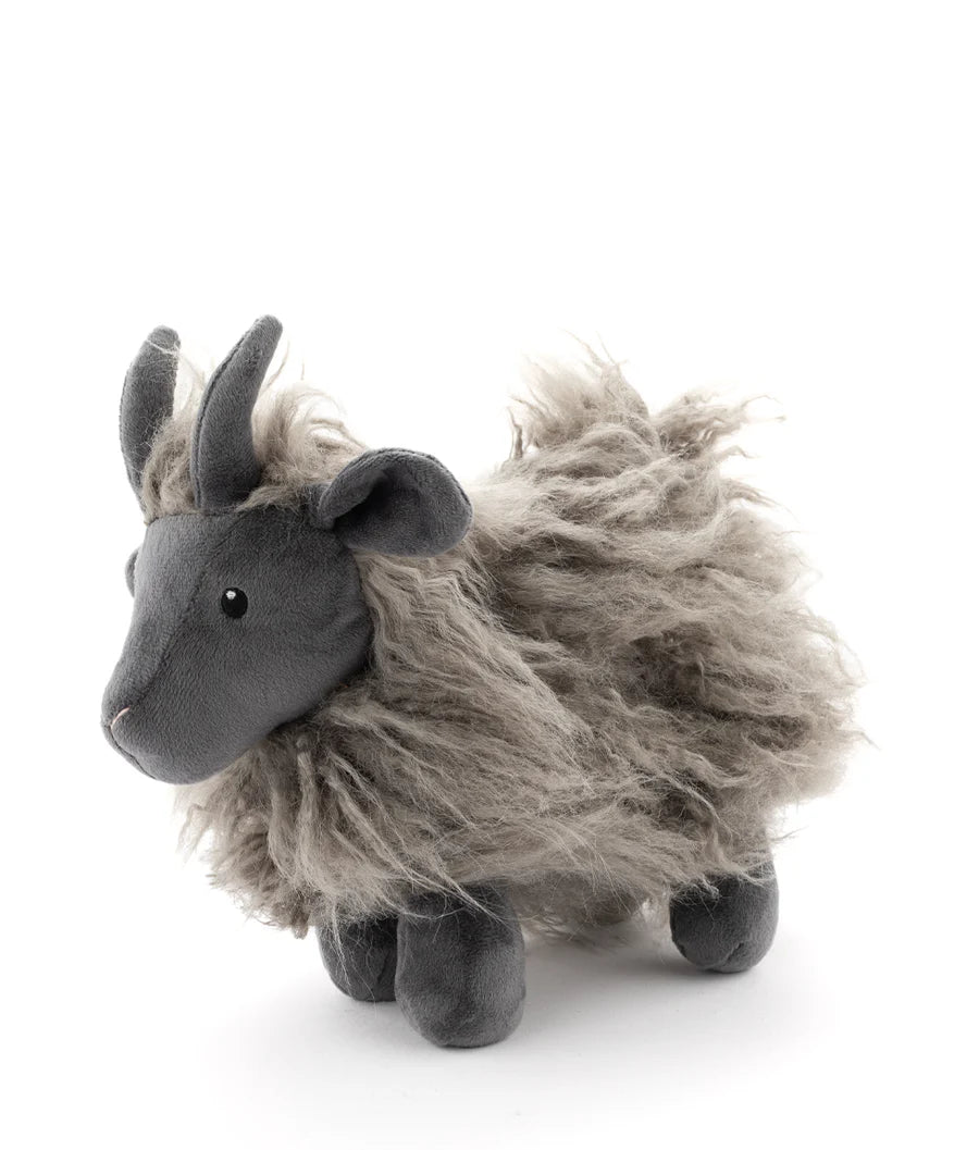 Nana Huchy | Aiden the Angora Goat