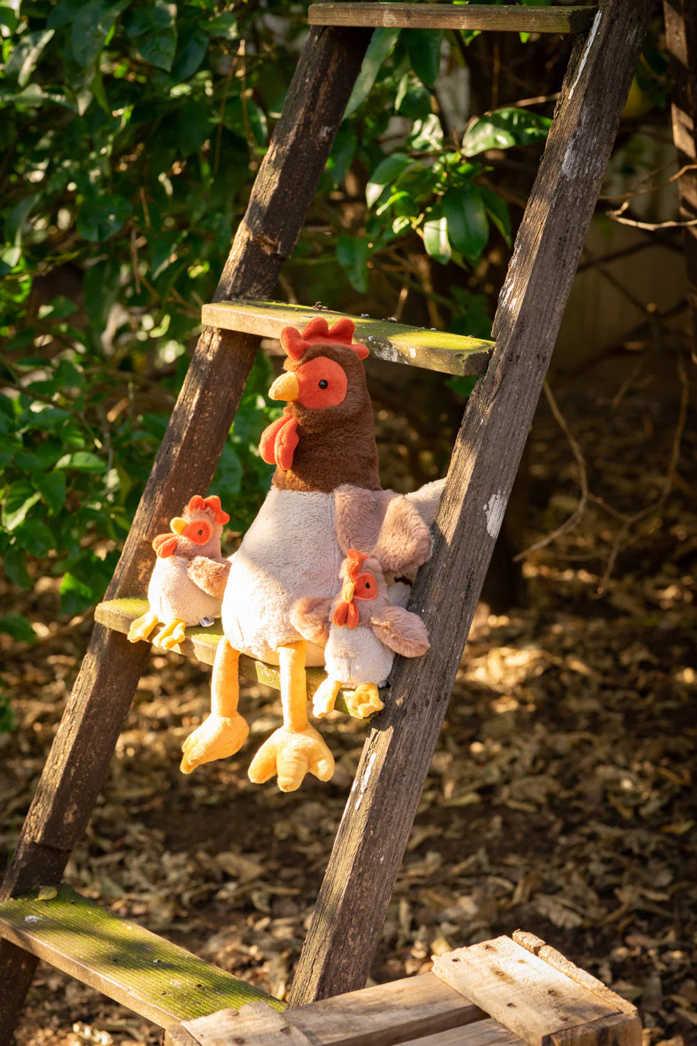 Nana Huchy | Randy the Rooster
