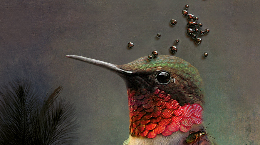 iBride Collector Portrait - Ambroise (Large)