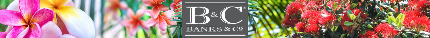 Banks & Co Hand & Nail Creams