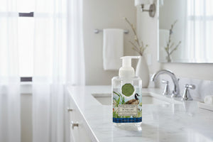 Michel Design Work By the Lake Foaming Shea Butter Hand Soap