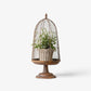 Maison Garden Cloche