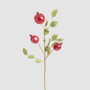 Pomegranate Stem Red - Available Mid October - Only Available In Store