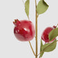 Pomegranate Stem Red - Available Mid October - Only Available In Store