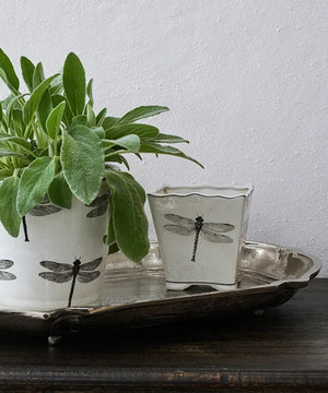 Dragonfly Small Square Planter - (Available In Store Only)