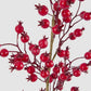 Gloss Berry Stem Red - Available Mid October - Available In Store Only