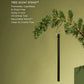 Limited Edition WINTER WONDERLAND Tree Scents Stems™