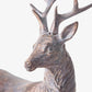Sentinel Lying Down Reindeer