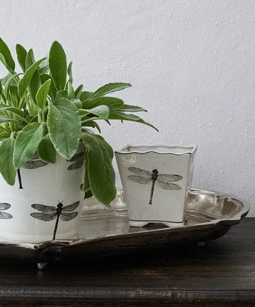 Dragonfly Small Square Planter