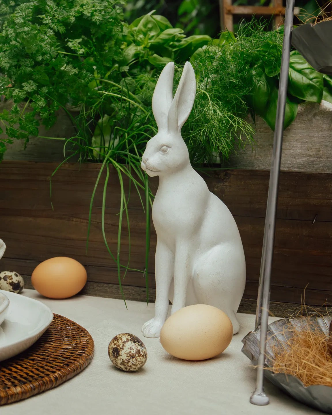 Harold the Hare White