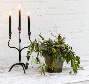 Gorgeous Spiked Iron Candelabra