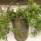 Assorted Antiqued Hanging Pots (Available In-Store Only)