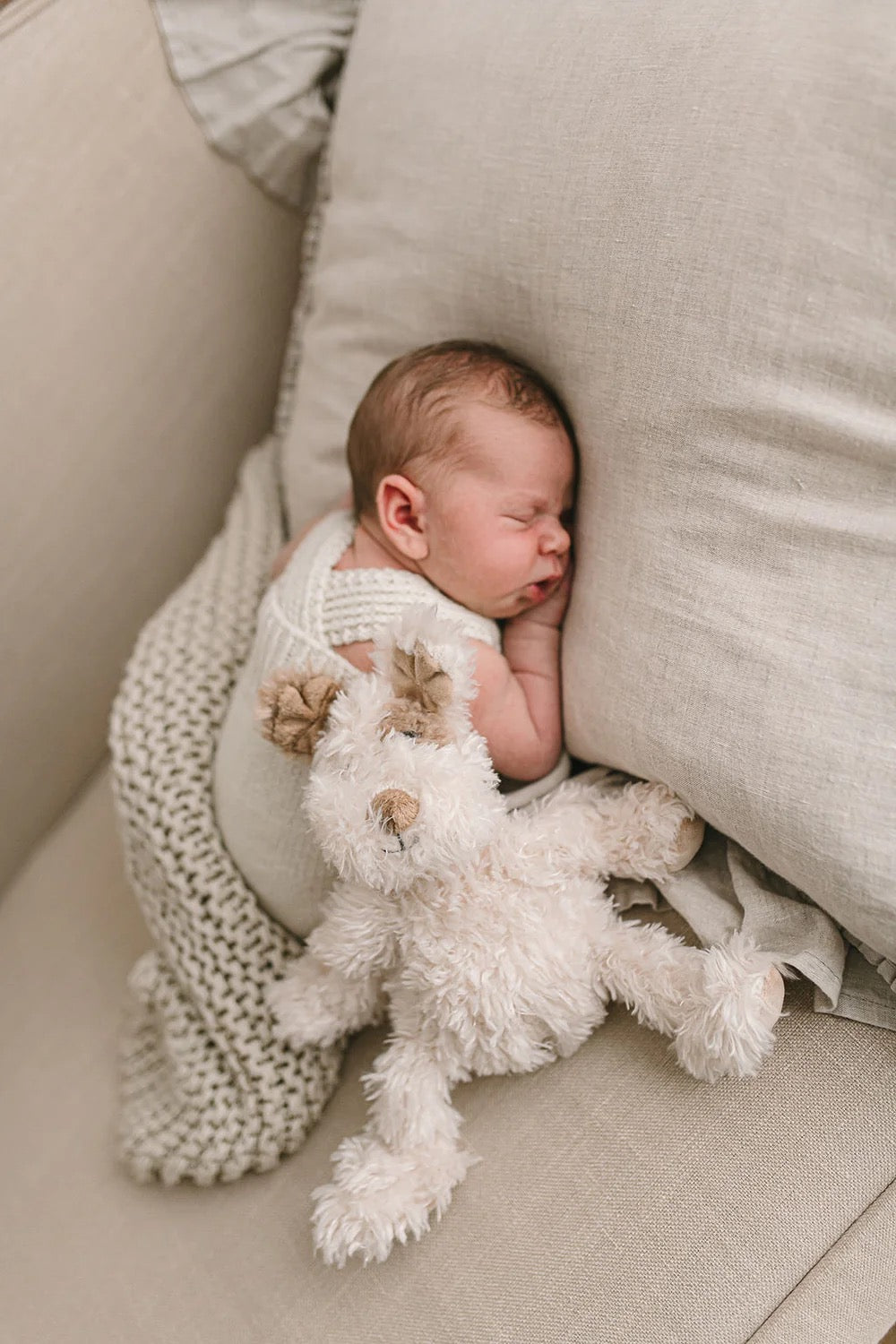 Nana Huchy | Buddy the Pup