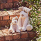 Nana Huchy | Buddy the Pup