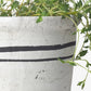 Lisbon Herb Pot Small