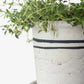 Lisbon Herb Pot Medium