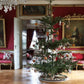 Jeanne d’Arc Living Magazine 2025 - Christmas Special