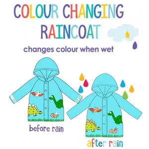 Colour Changing Raincoat: Dinosaur size 2 - 4