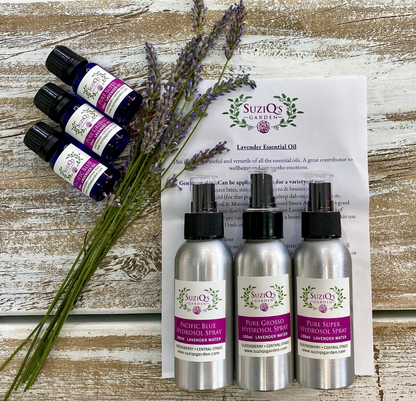 SuziQ's Lavender Oil Pure Grosso 10ml