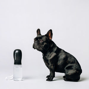 Original Thirsty Dog Drink Bottles - Black
