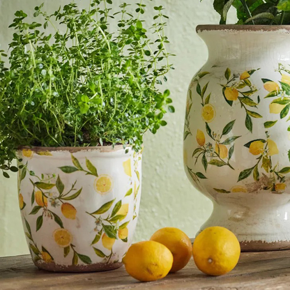 Botanical Lemon Pot Large