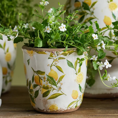 Botanical Lemon Pot Small